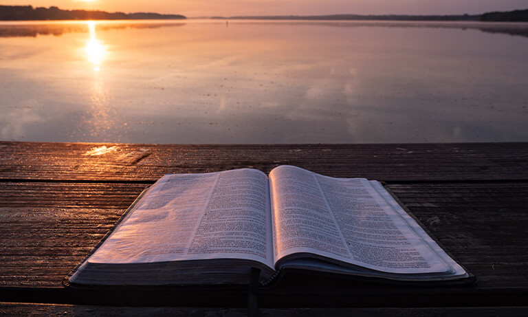 yabroudi-villa image